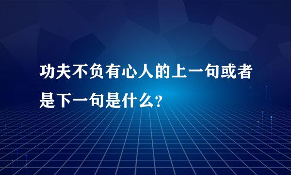 功夫不负有心人的上一句或者是下一句是什么？