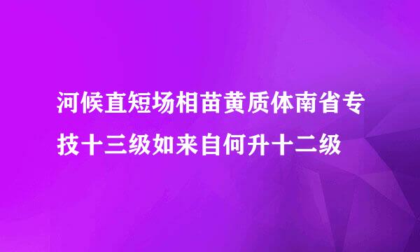 河候直短场相苗黄质体南省专技十三级如来自何升十二级