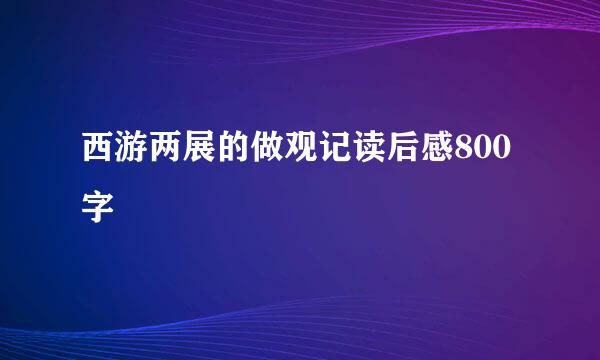 西游两展的做观记读后感800字