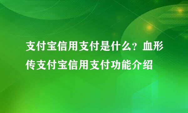 支付宝信用支付是什么？血形传支付宝信用支付功能介绍