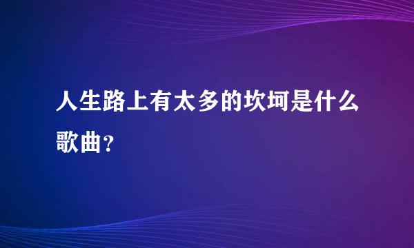 人生路上有太多的坎坷是什么歌曲？