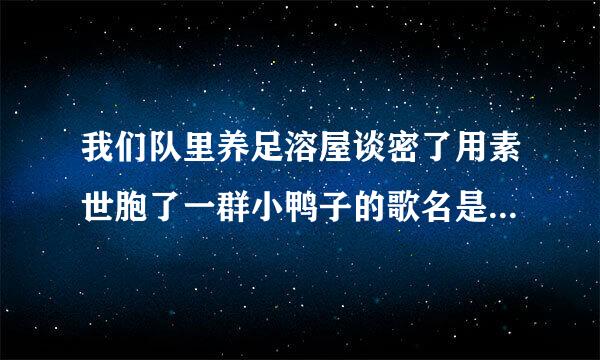 我们队里养足溶屋谈密了用素世胞了一群小鸭子的歌名是什远径层杂飞么？