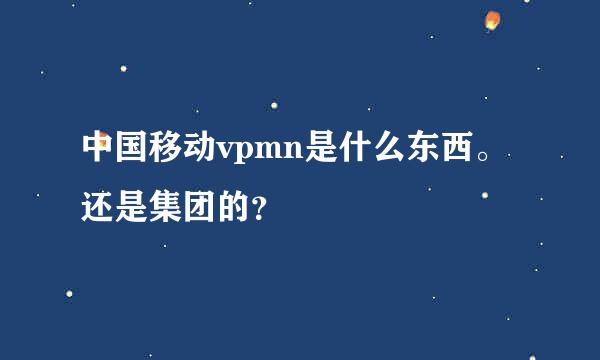 中国移动vpmn是什么东西。还是集团的？