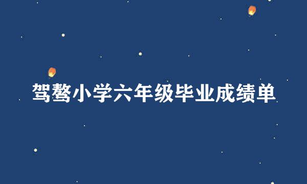 驾骜小学六年级毕业成绩单