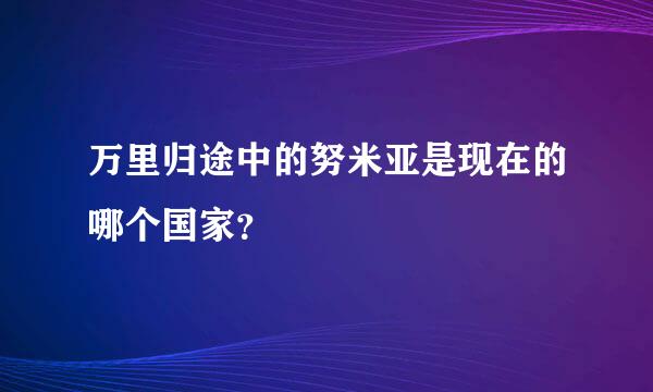 万里归途中的努米亚是现在的哪个国家？