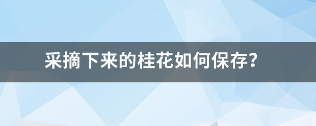 采摘下来的桂花如何保存？