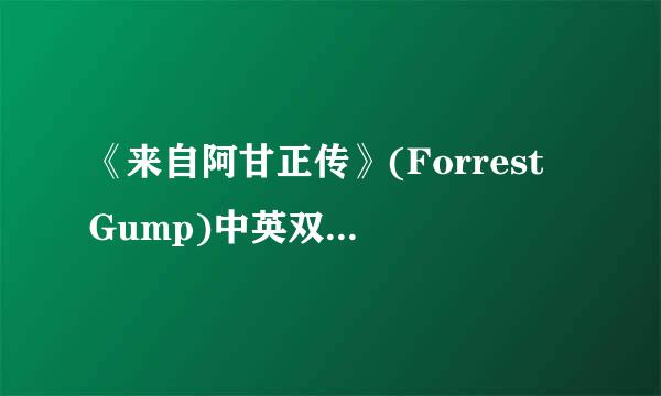 《来自阿甘正传》(Forrest Gump)中英双语版[DVDRip]迅雷下载