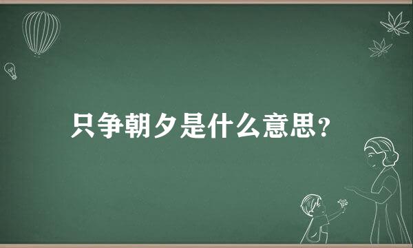 只争朝夕是什么意思？