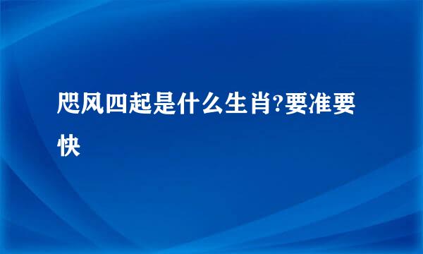 咫风四起是什么生肖?要准要快