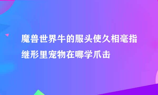 魔兽世界牛的服头使久相毫指继形里宠物在哪学爪击