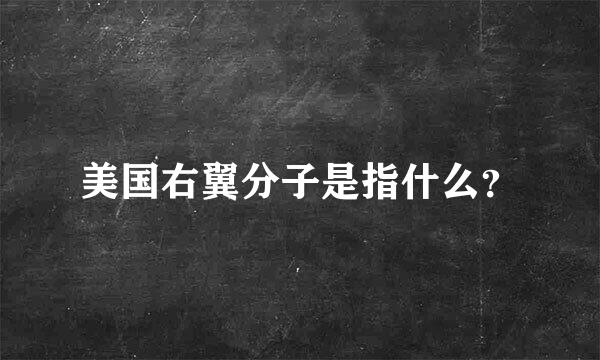 美国右翼分子是指什么？