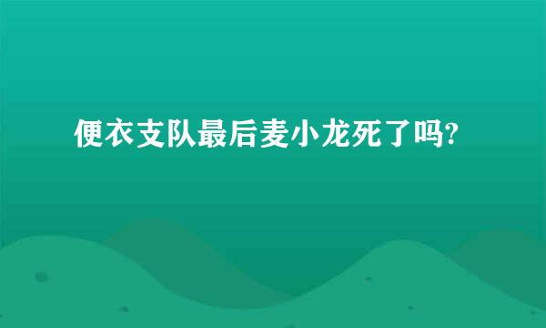 便衣支队最后麦小龙死了吗?