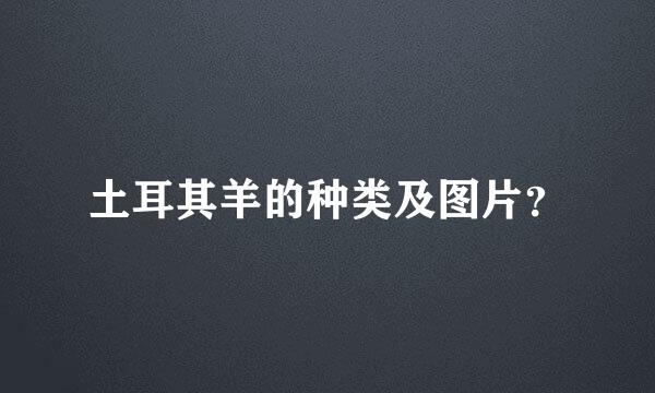 土耳其羊的种类及图片？