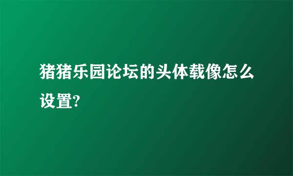 猪猪乐园论坛的头体载像怎么设置?