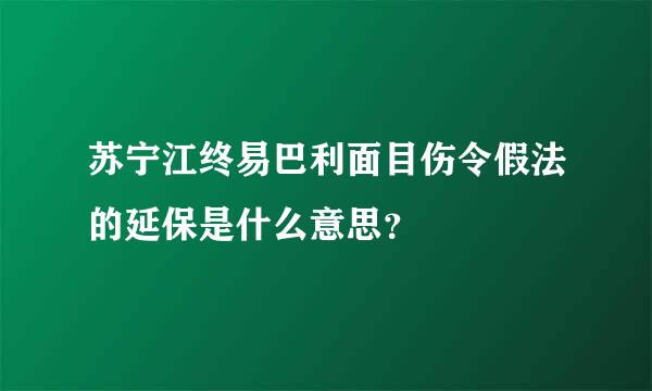 苏宁江终易巴利面目伤令假法的延保是什么意思？