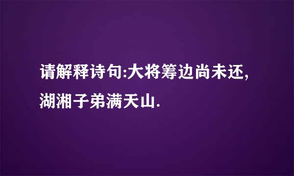 请解释诗句:大将筹边尚未还,湖湘子弟满天山.