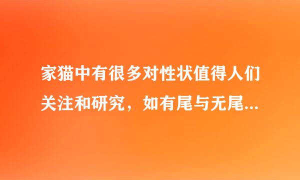 家猫中有很多对性状值得人们关注和研究，如有尾与无尾（由一对等位基因A、a控制）、眼睛的黄色与蓝色（由