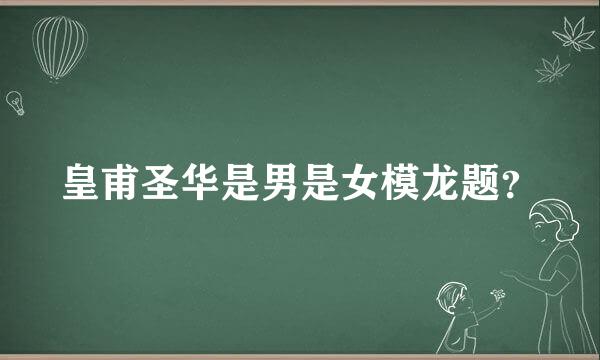 皇甫圣华是男是女模龙题？