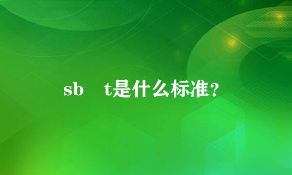 sb t是什么标准？