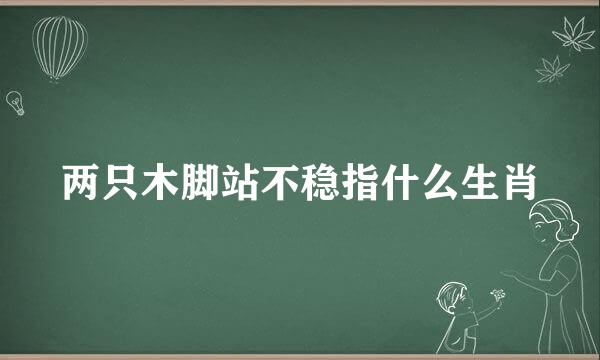 两只木脚站不稳指什么生肖