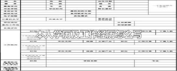 本人学历及工作经历怎么写