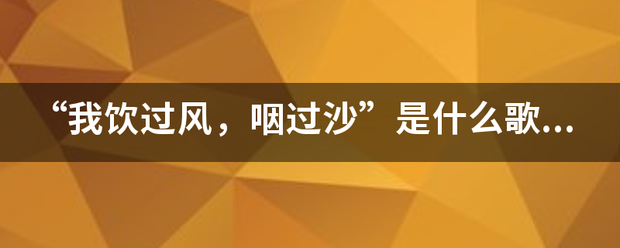 “我饮过风，咽过沙”是什么歌的歌词？