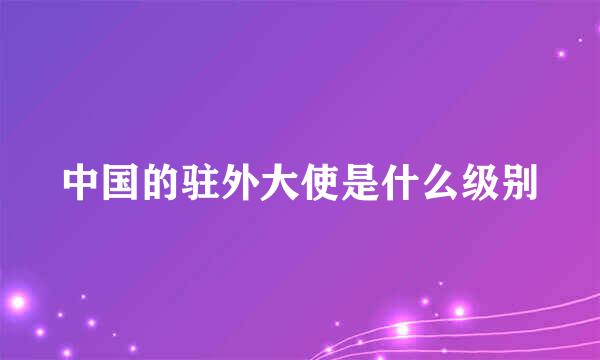 中国的驻外大使是什么级别