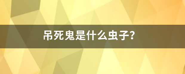 吊死鬼是什么虫子？