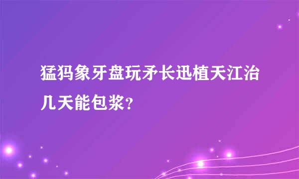 猛犸象牙盘玩矛长迅植天江治几天能包浆？