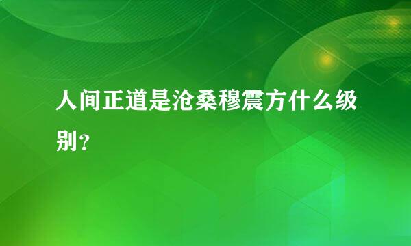 人间正道是沧桑穆震方什么级别？