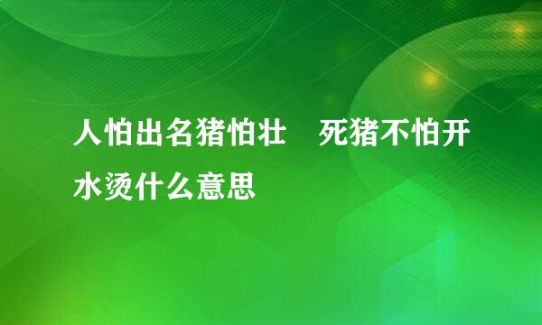 人怕出名猪怕壮 死猪不怕开水烫什么意思