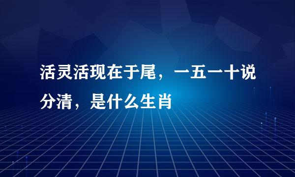 活灵活现在于尾，一五一十说分清，是什么生肖