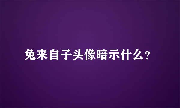 兔来自子头像暗示什么？