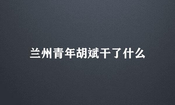 兰州青年胡斌干了什么