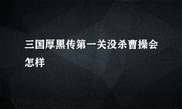 三国厚黑传第一关没杀曹操会怎样