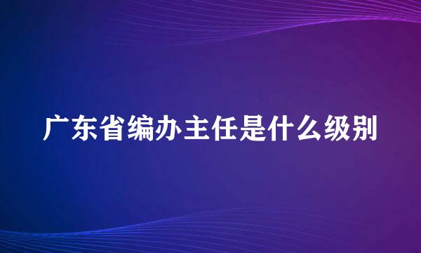 广东省编办主任是什么级别