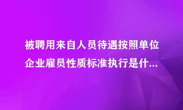 被聘用来自人员待遇按照单位企业雇员性质标准执行是什么样的编制