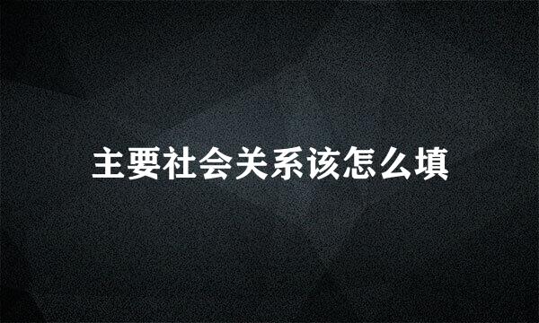 主要社会关系该怎么填