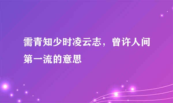 需青知少时凌云志，曾许人间第一流的意思