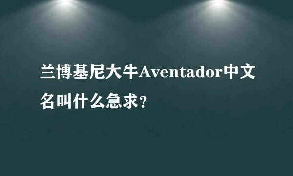 兰博基尼大牛Aventador中文名叫什么急求？