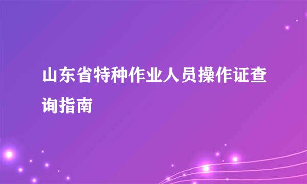 山东省特种作业人员操作证查询指南