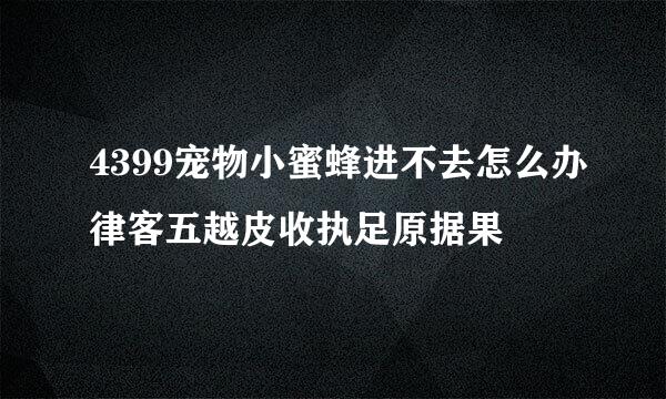 4399宠物小蜜蜂进不去怎么办律客五越皮收执足原据果