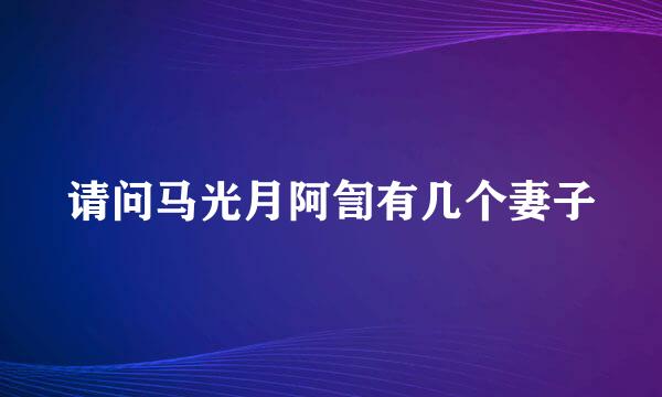 请问马光月阿訇有几个妻子