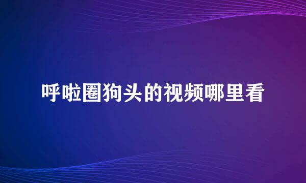 呼啦圈狗头的视频哪里看