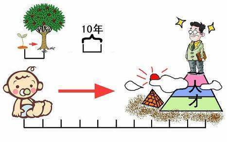 十年树木百年树人中的两个树分别是什么意思