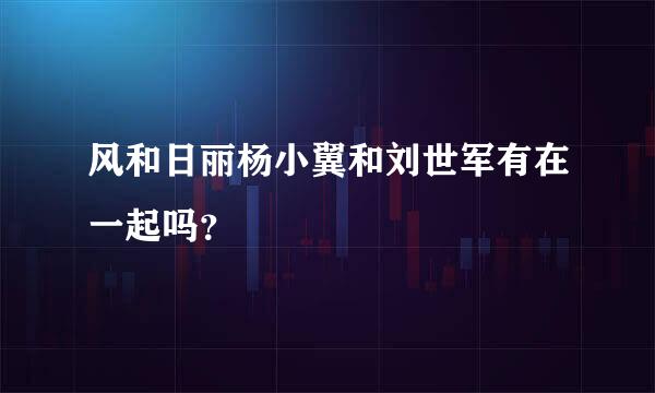 风和日丽杨小翼和刘世军有在一起吗？