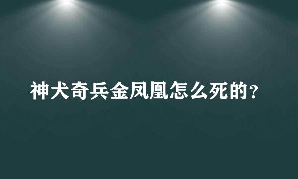 神犬奇兵金凤凰怎么死的？