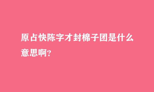 原占快陈字才封棉子团是什么意思啊？