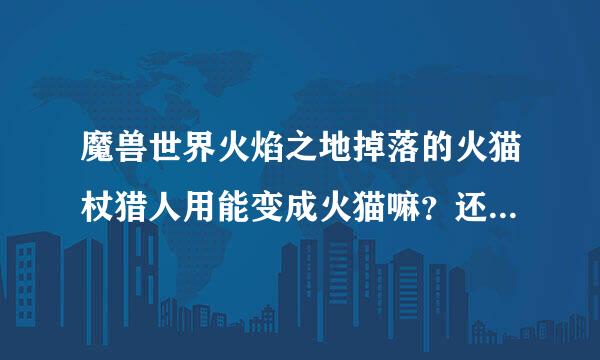 魔兽世界火焰之地掉落的火猫杖猎人用能变成火猫嘛？还是只有小德才能用