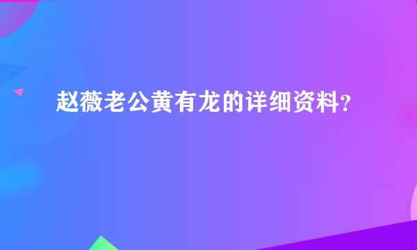 赵薇老公黄有龙的详细资料？